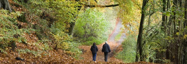 Walking on Exmoor