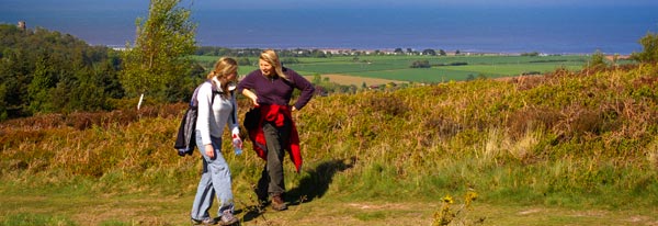 Walking on Gallax Hill, Dunster